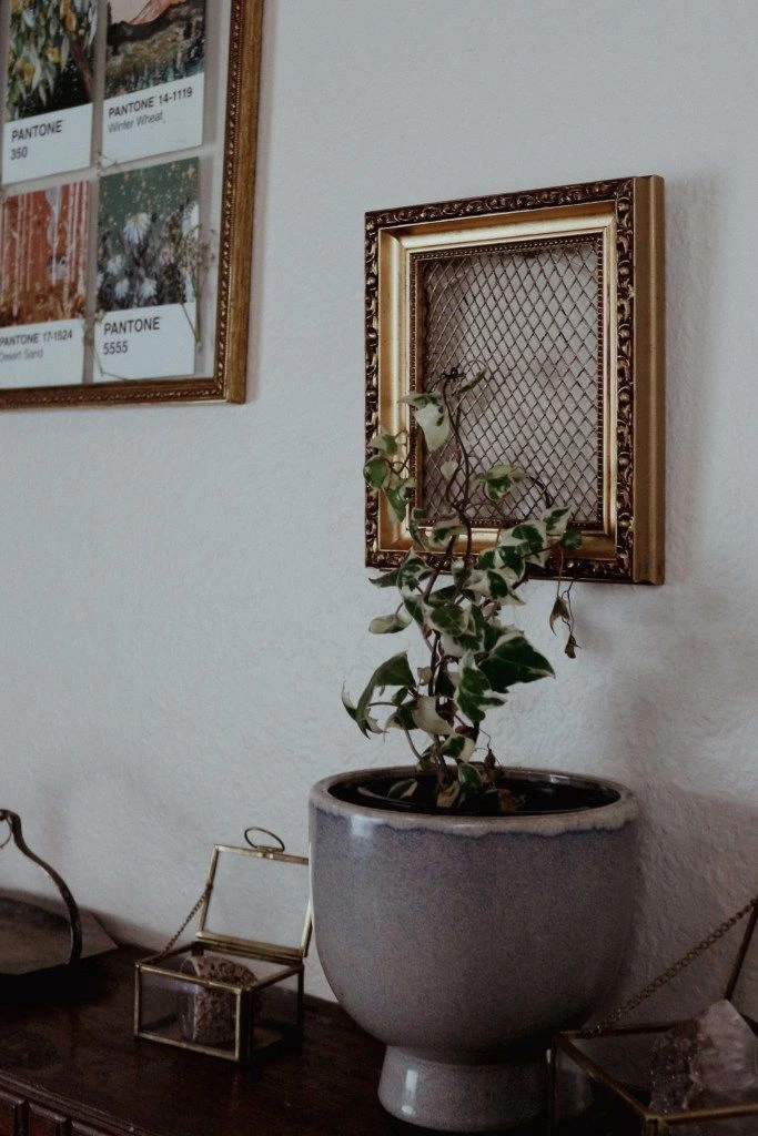 DIY A Stylish Trellis For Indoor Plants With A Photo Frame