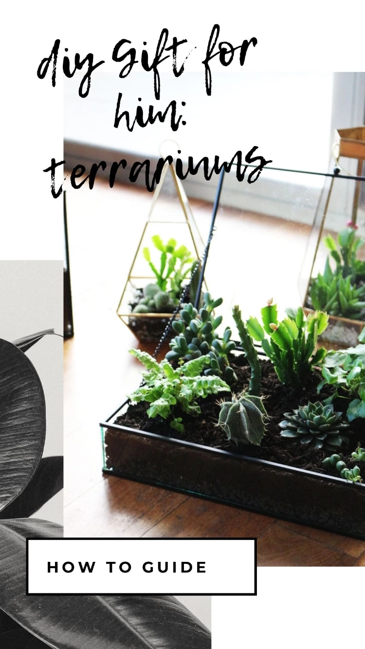 DIY Date Idea: How To Build Terrariums
