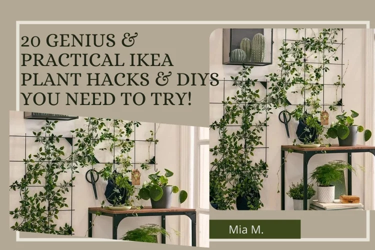 Top Genius & Practical IKEA Plant DIYs to Try