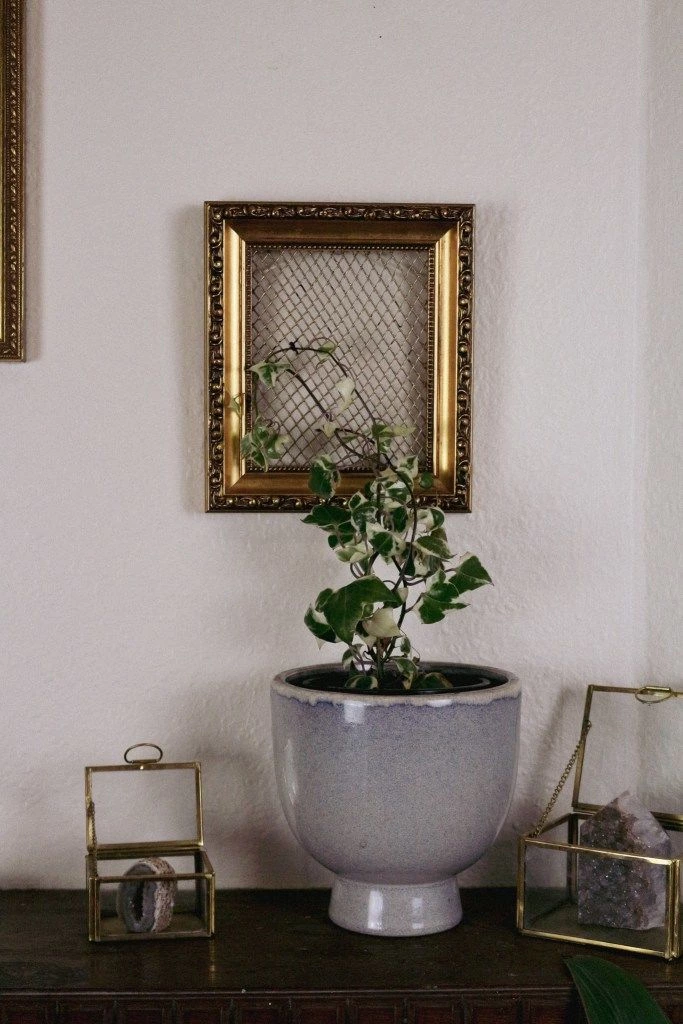 DIY A Stylish Trellis For Indoor Plants With A Photo Frame