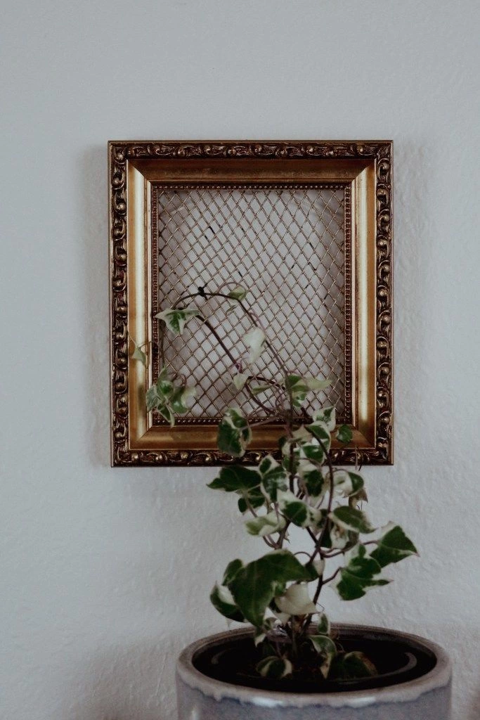 DIY A Stylish Trellis For Indoor Plants With A Photo Frame