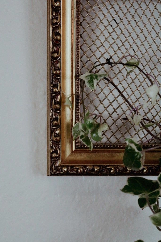 DIY A Stylish Trellis For Indoor Plants With A Photo Frame