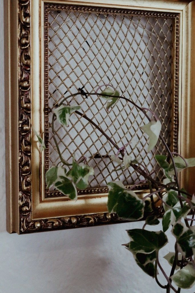 DIY A Stylish Trellis For Indoor Plants With A Photo Frame