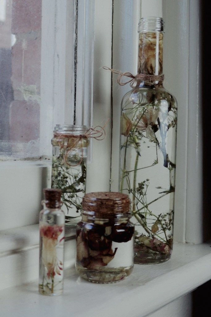 Preserving Dried Flowers In Herbariums