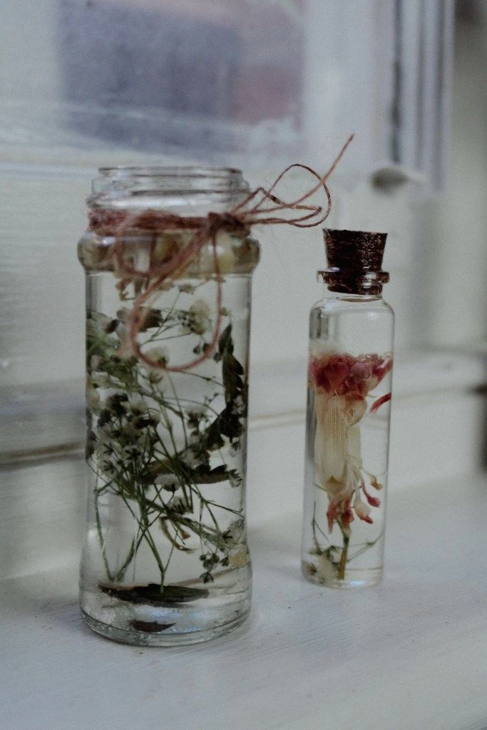 Preserving Dried Flowers In Herbariums