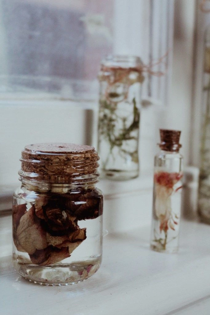 Preserving Dried Flowers In Herbariums