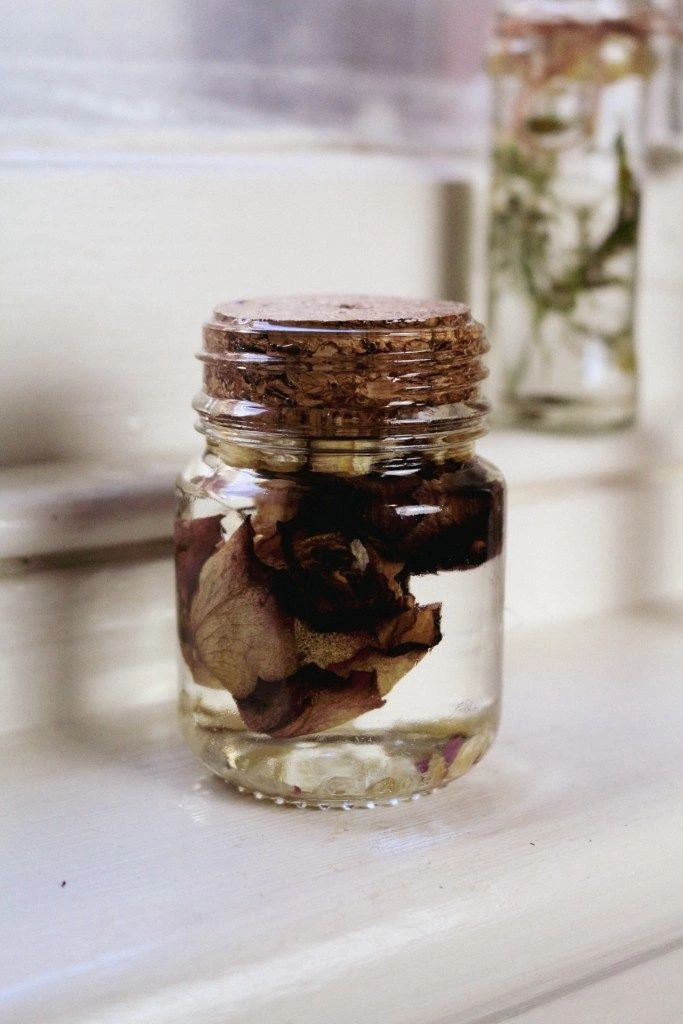 Preserving Dried Flowers In Herbariums