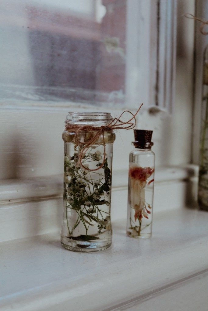 Preserving Dried Flowers In Herbariums