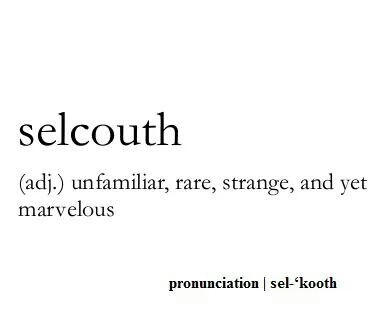 Selcouth #WordPorn