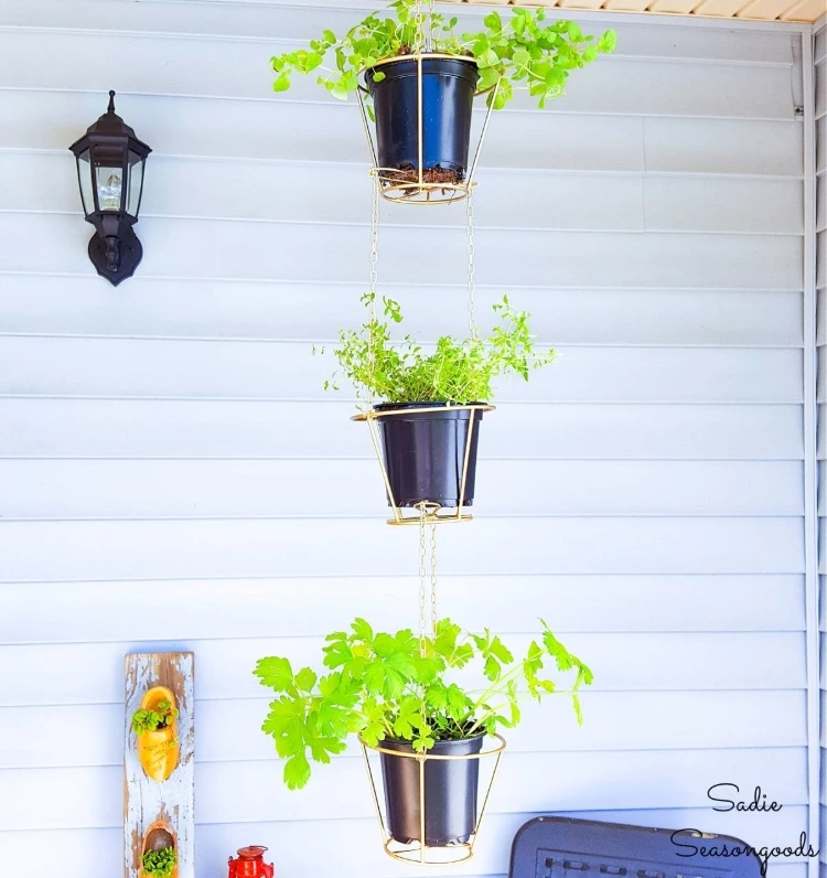Hanging Herb Baskets From Lampshade Frames