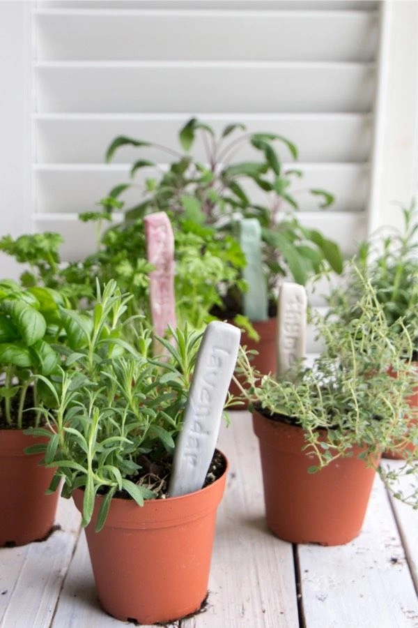 Fast Dry Clay Craft For Garden Markers