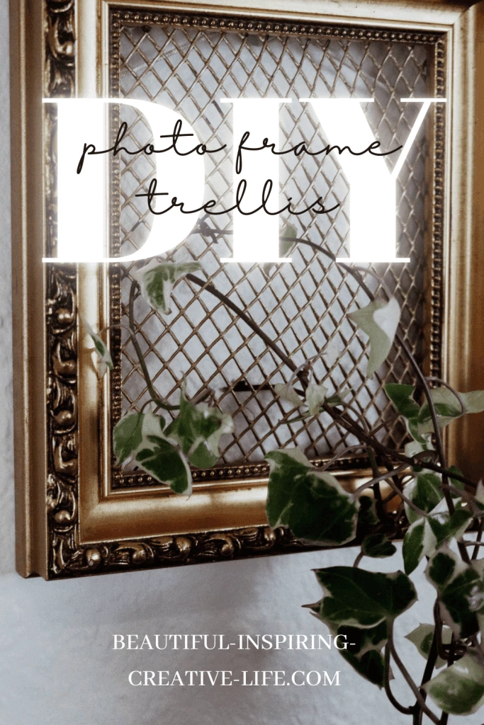Creative DIY Trellis For Potted Plants (How To Convert A Photo Frame!)