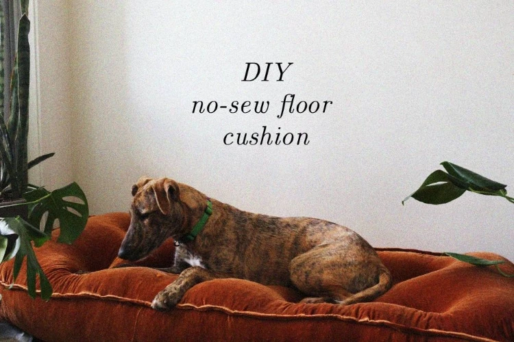 DIY Velvet Dog Bed