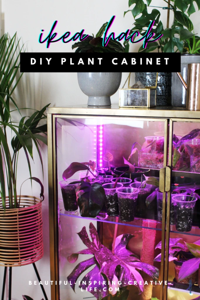 5 – Chic DIY Ikea Greenhouse Cabinet (Rudsta Hack)