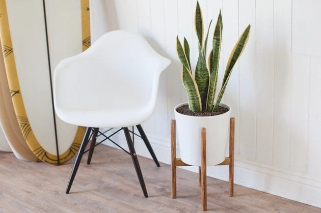 9 – Stylish Mid Century Plant Stand