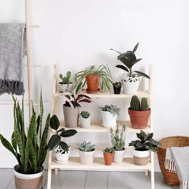 A Large Ladder-shaped Plant Stand