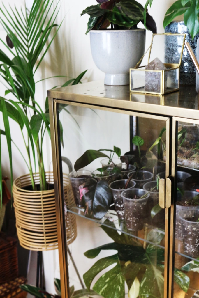 Transform IKEA RUDSTA into a Plant Cabinet