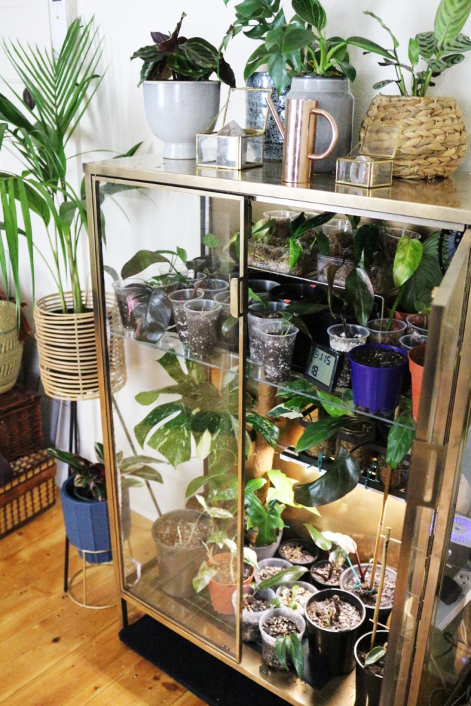 Final Product of the Plant Cabinet from a IKEA RUDSTA Cabinet