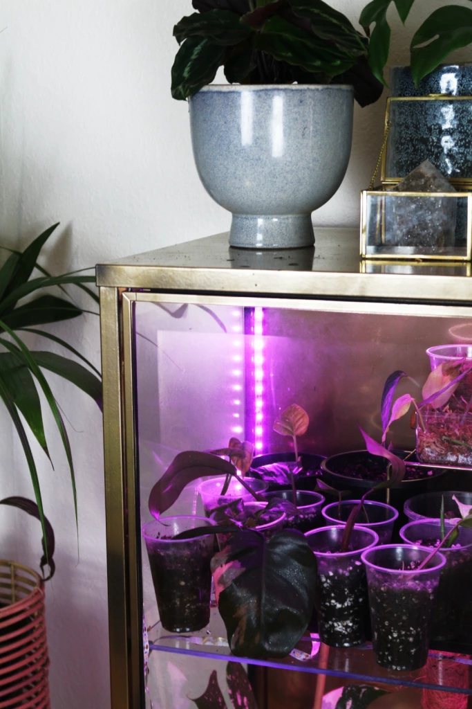 It’s Almost Impossible to Miss the Stunning IKEA Greenhouse Plant Cabinet Hacks