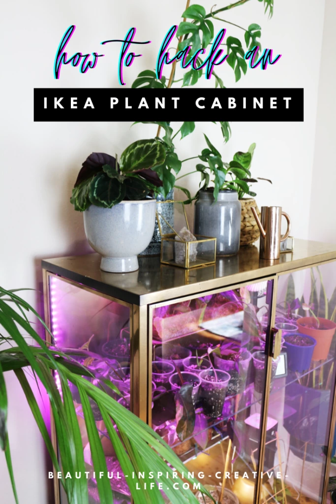 IKEA Plant Cabinet DIY - How To Hack IKEA RUDSTA Into A Greenhouse!