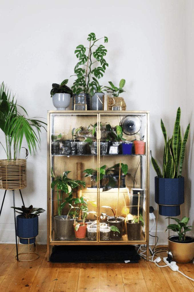IS IT WORTH MAKING A PLANT CABINET?