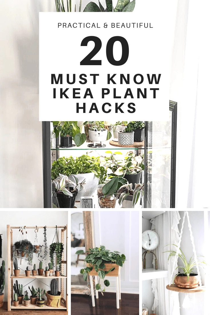 20 Genius & Practical IKEA Plant Hacks & DIYs You Need To Try!