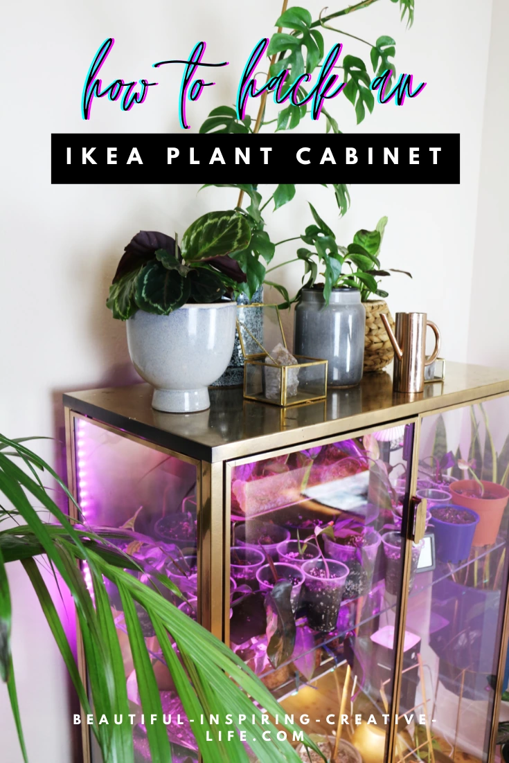IKEA Plant DIYs