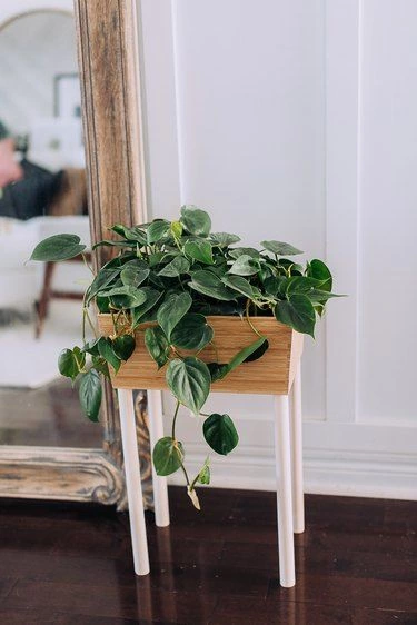 IKEA VARIERA Planter