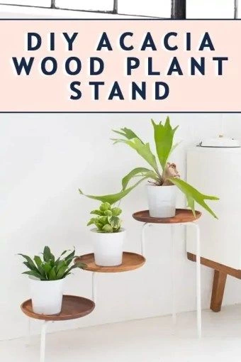 Photo Of The Ikea Hack DIY Acacia Wood Plant Stand By Top Houston Lifestyle Blogger Ashley Rose Of Sugar & Cloth