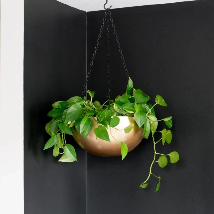 Learn How To Make A Hanging Planter Out Of A Stainless Steel Bowl And A Little Paint!