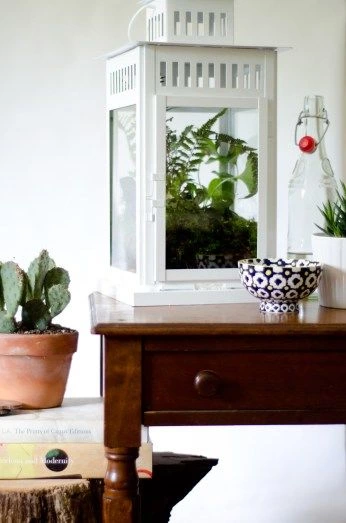 Ikea Hack: #DIY Lantern Terrarium On Thou Swell Https://thouswell.com/