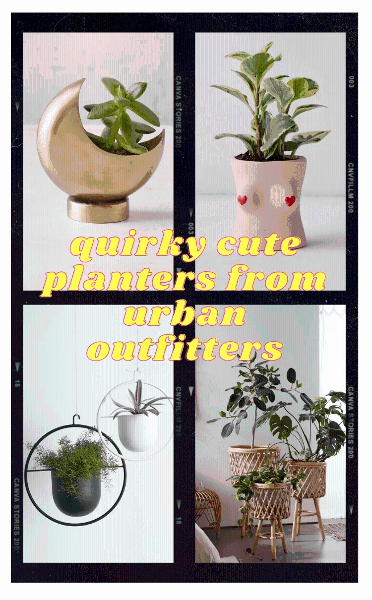 Quirky Urban Outfitters Planters