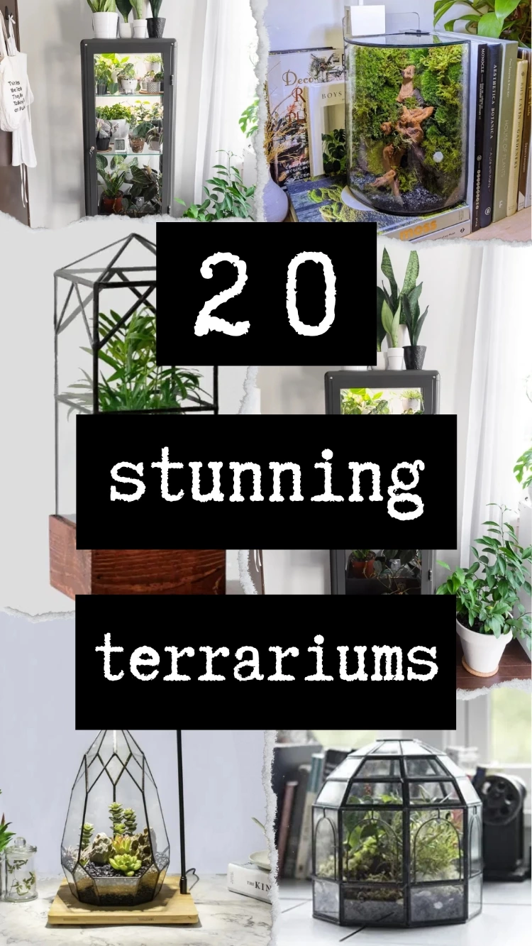 20 Stunning Terrariums To Buy For Your Plants NOW!