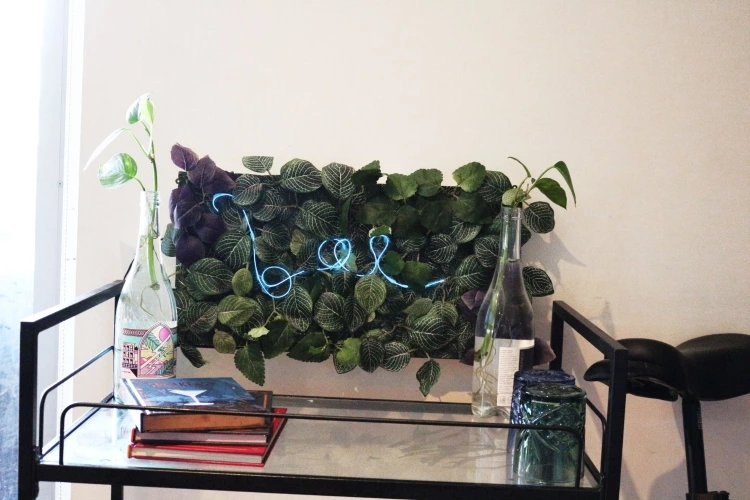 DIY: Neon Sign W/ Plant Background (Aesthetic IKEA Flips)