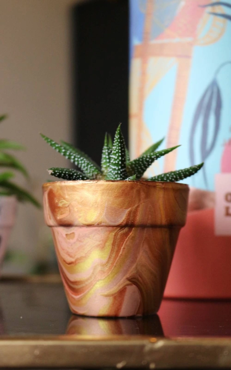DIY: Stunning Marble Plant Pots w/ Acrylic Pour Paints!