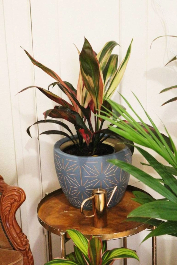 20 Genius & Practical IKEA Plant Hacks & DIYs You Need To Try!