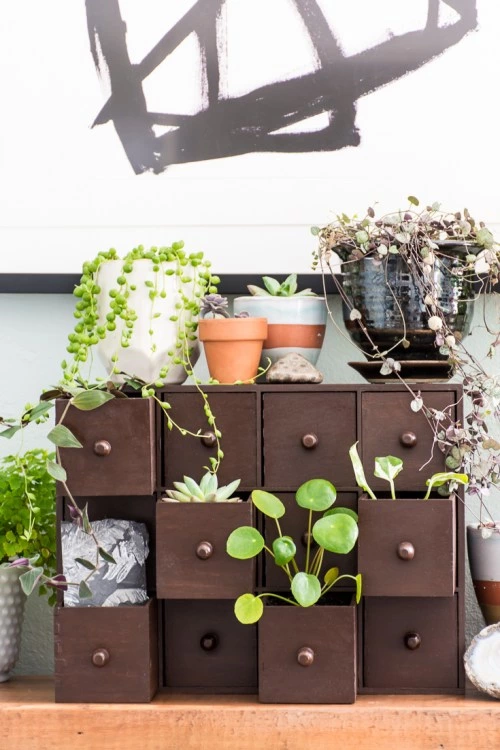 These DIY Mini Plant Drawers Are A Pretty, Vintage-inspired Way To Display Your Plants.