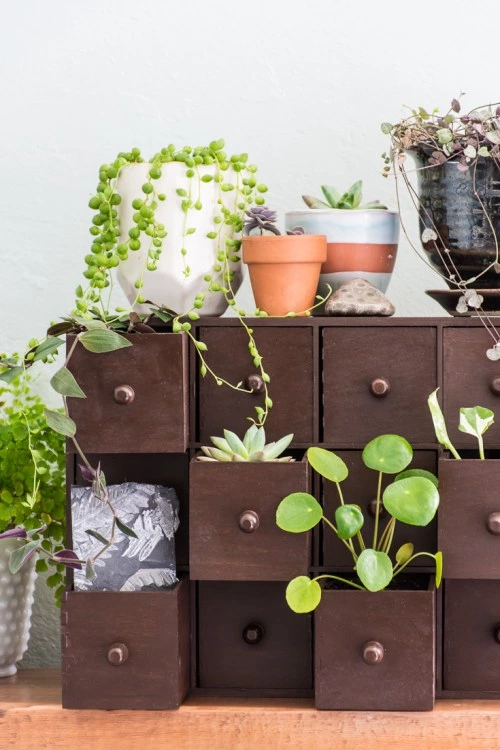 These DIY Mini Plant Drawers Are A Pretty, Vintage-inspired Way To Display Your Plants.