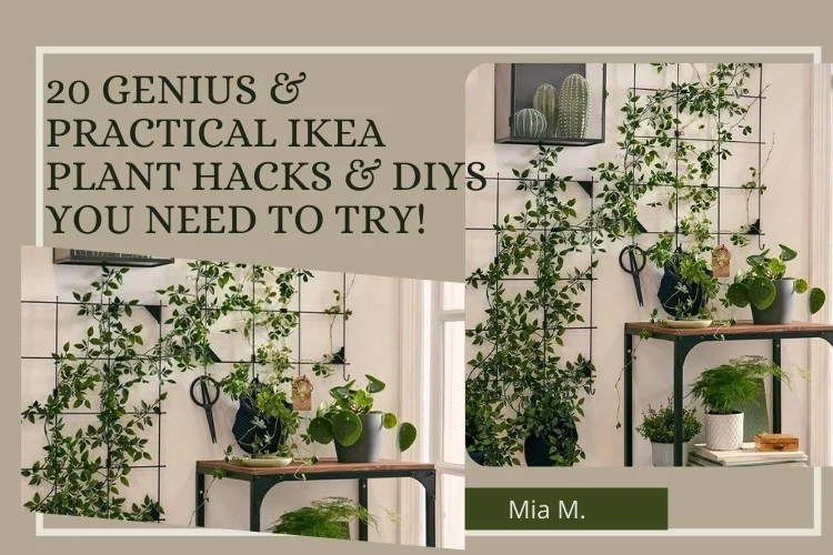 20 Genius & Practical IKEA Plant Hacks & DIYs You Need To Try!