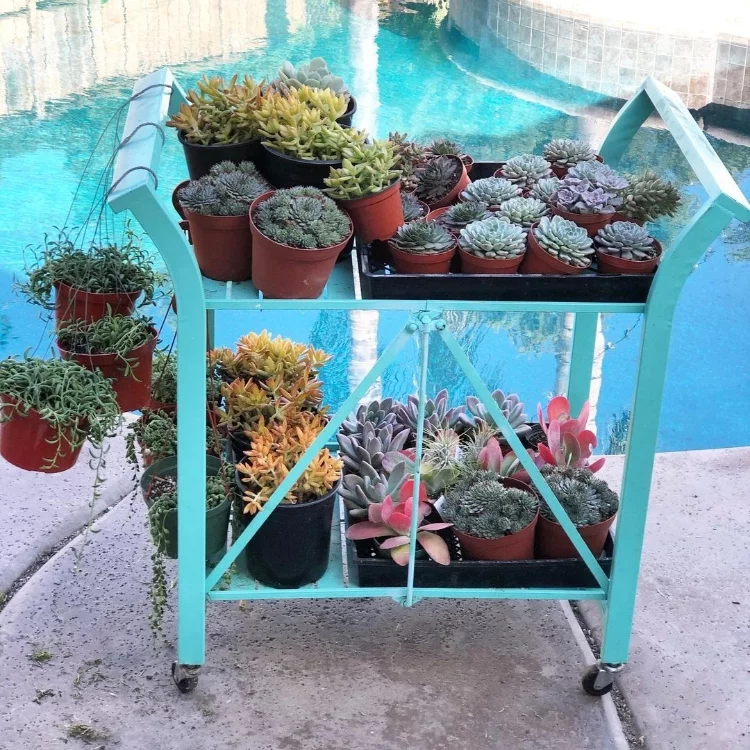 Create A Fun Succulent Container Garden In An Ikea Cart! Succulents And Sunshine