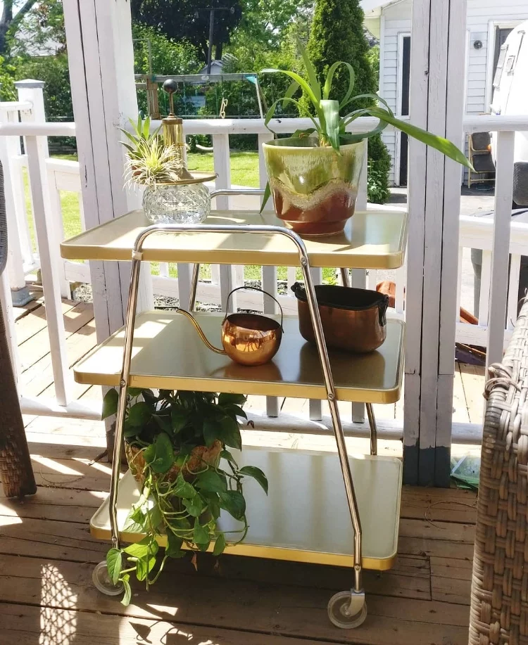 Succulents In A Rectangular Planter - Succulents And Sunshine