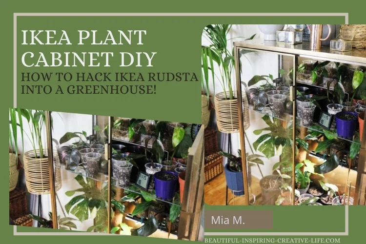 IKEA Plant Cabinet DIY – How To Hack IKEA RUDSTA Into A Greenhouse!