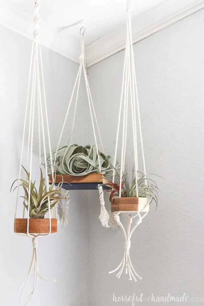 Three Macrame And Wood Hanging Air Plant Holders In The Corner. 