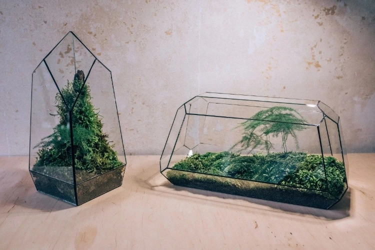 Carbon Large Without Plants  Studio Pangea  Florarium Image 6